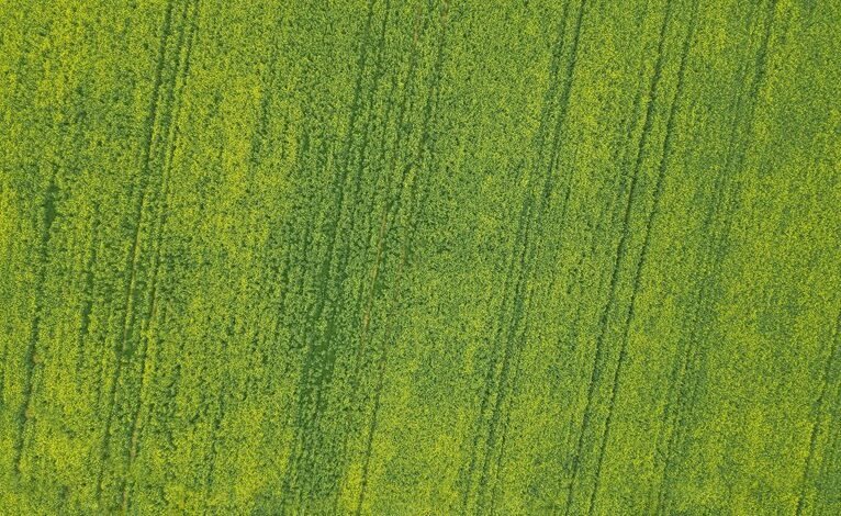 cross country communication techniques