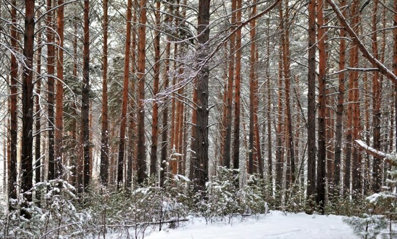 dropped calls in coverage