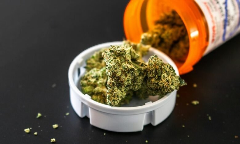 fraud call regulations report