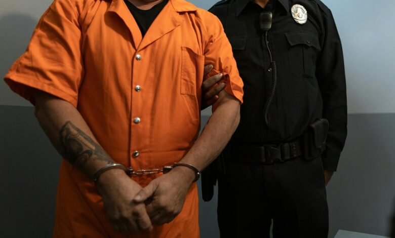 fraud investigation defense team